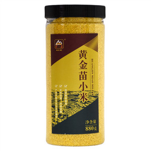 甸禾黄金苗小米