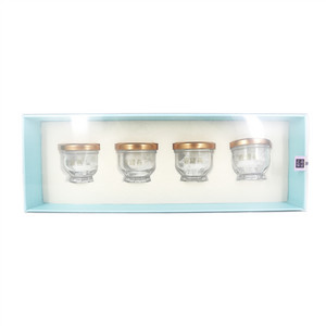 壹罐燕鲜炖冻干燕窝