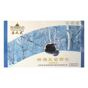 森之灵桦褐孔菌颗粒固体饮料