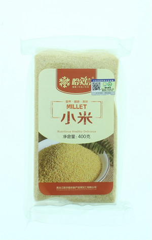 哈尔信小米