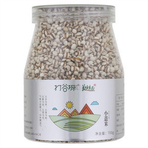 打谷塬小薏米