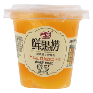 糖水桔子软罐头