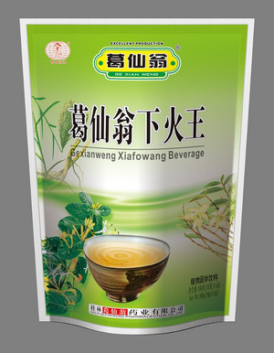 葛仙翁下火王