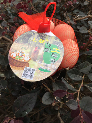 上旺鸡蛋（网袋）