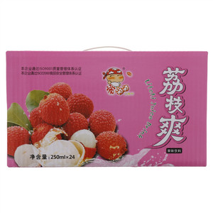 荣氏爱泡泡荔枝爽果味饮料