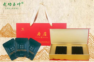 万龙山云雾绿茶