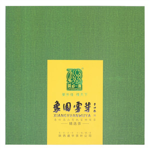 栗乡缘绿茶（象园雾芽）卷曲
