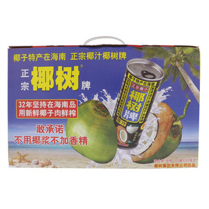 植物蛋白饮料椰汁