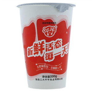午牛酸奶