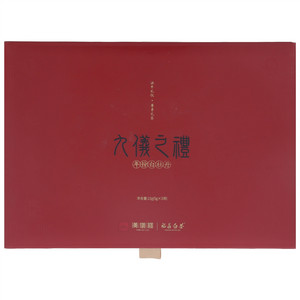 汉仪楼福鼎白茶九仪之礼年份白牡丹