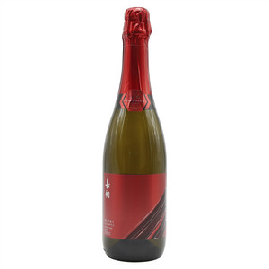 嘉桐果燃富士苹果汁（充气型苹果味饮料）