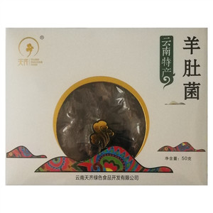 天齐羊肚菌