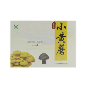 吉盼小黄蘑19.8元