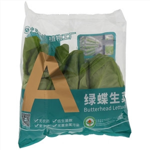 中科三安绿蝶生菜