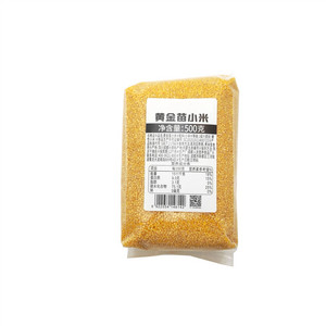黄金苗小米