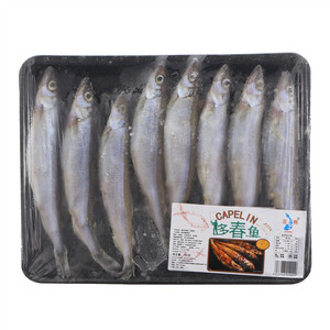 亚腾速冻多春鱼生制品