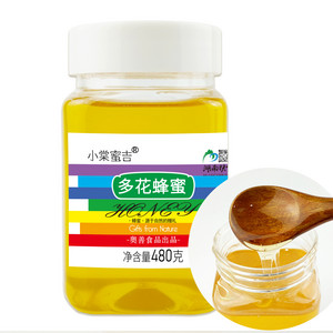 小棠蜜吉480多花蜂蜜