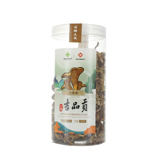吉品贡小黄蘑