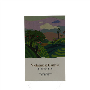 长生果园越南生腰果