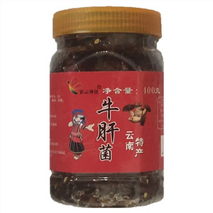 彩云坤佳牛肝菌