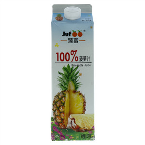 臻富100%菠萝汁