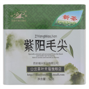 山云紫阳毛尖茶
