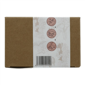 泰尔森豆泰栀子菊花茶