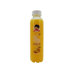 488ml芒果发酵风味饮品