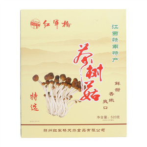 红军桥茶树菇