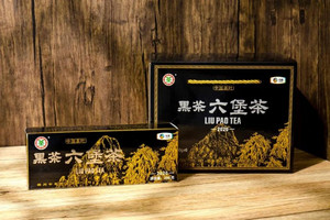 中茶黑茶六堡茶（2020）