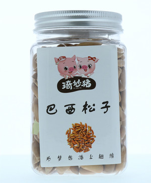 巴西松子