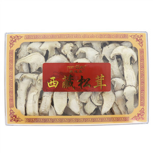 西藏松茸