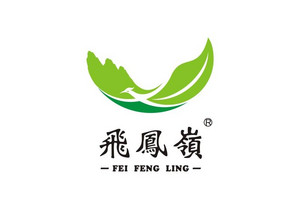 飞凤岭西乡绿茶100g