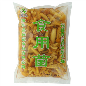 远征食用菌