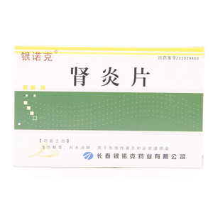 肾炎片