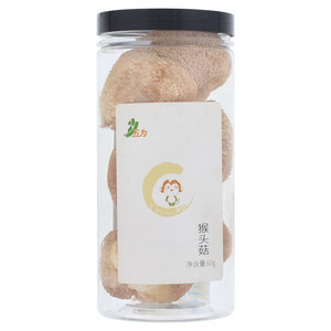 猴头菇