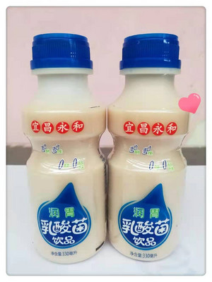 润胃乳酸菌