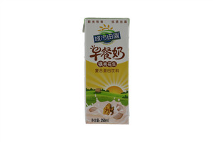 城市田园早餐奶核桃花生复核蛋白饮料