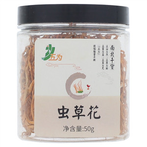 五为虫草花（蛹虫草）