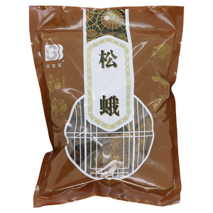 丝宝宝松蛾