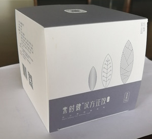 素时健汉方正饮