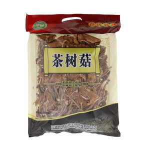 常绿茶树菇