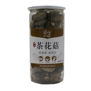 茶花菇