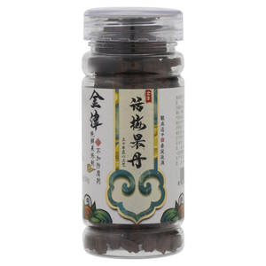 金津话梅果丹