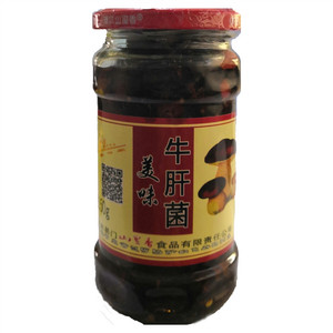 美味牛肝菌