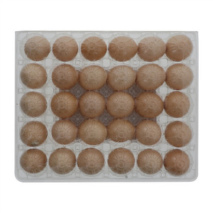 天子岭五谷鲜鸡蛋