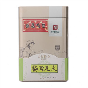 婺牌婺源绿茶