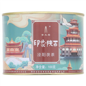崇文塔泾阳茯茶印象·陕西