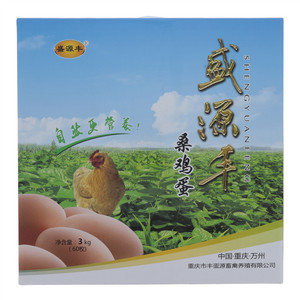 盛源丰营养鸡蛋20枚装