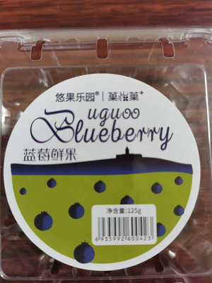 悠果乐园蓝莓果干